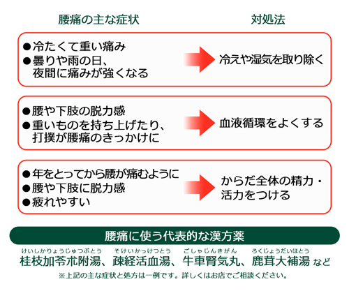 腰痛と漢方